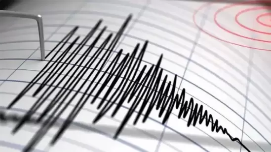 Earthquake: সকাল ৬:১০, বঙ্গোপসাগরে ভূমিকম্প, কোলকাতা থেকে বর্ধমান কমবেশি কেঁপেছে।